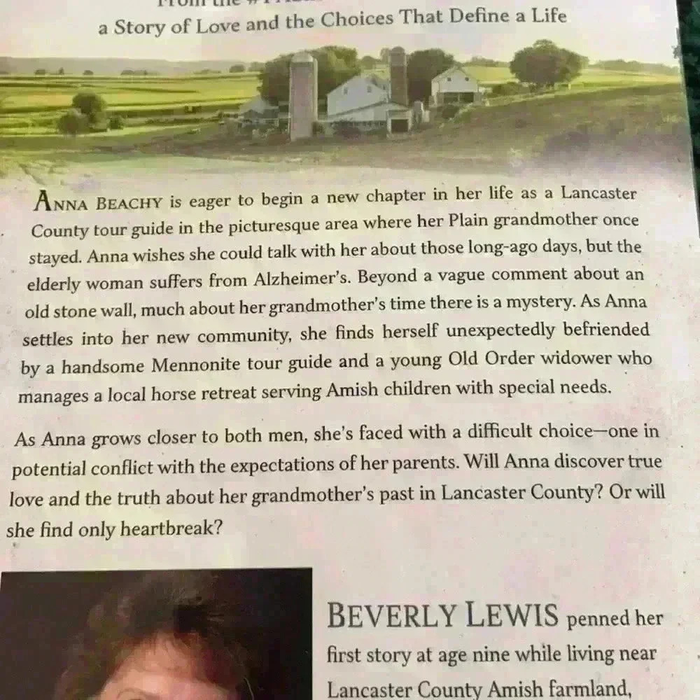 The Stonewall by Beverly Lewis - Picture 5 of 5